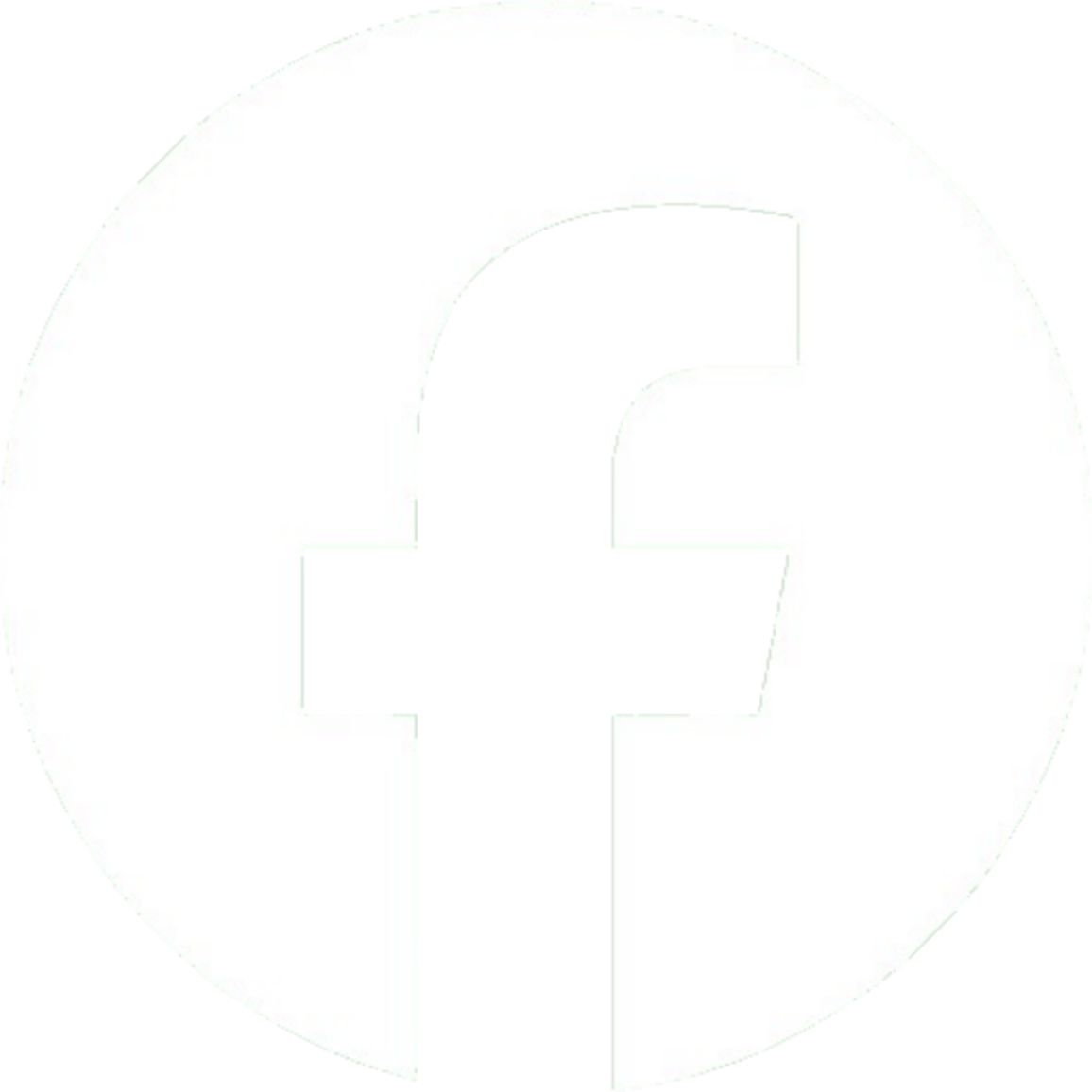Facebook White Icon
